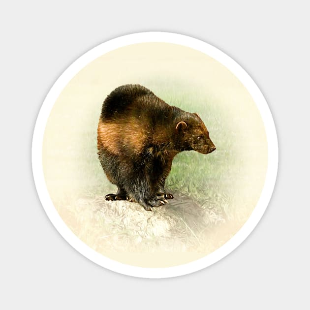 Wolverine Magnet by Guardi